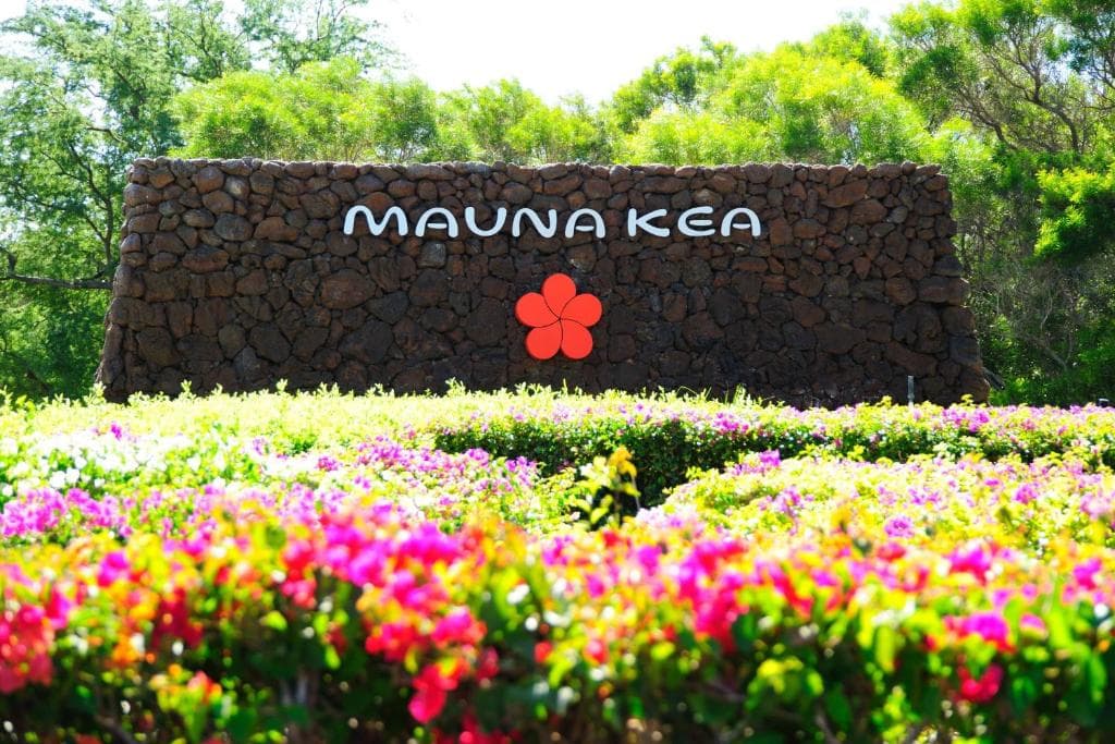 Mauna Kea rock wall sign