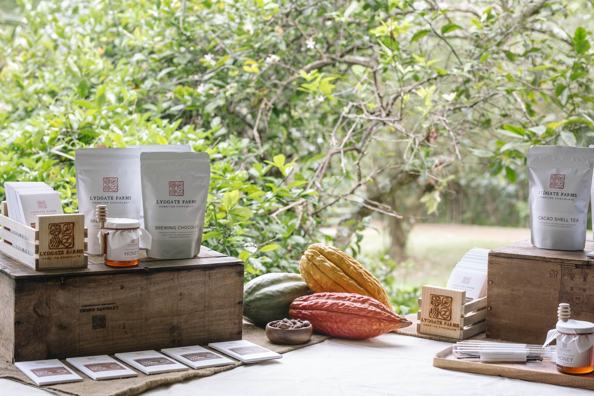 Lydgate Farm chocolate tour and tasting.