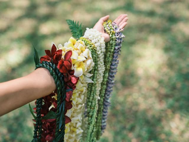 Culture & Traditions