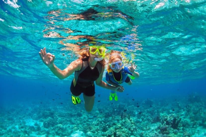 Explore the Kona Coast with Sea Paradise Sailing and Snorkeling Tours