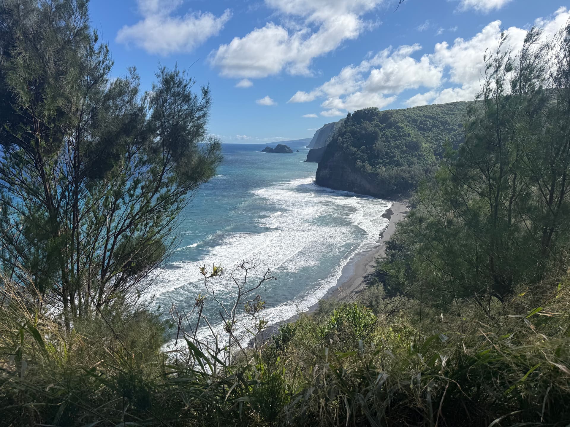 Ocean view from a hikingh trail in Hawaii