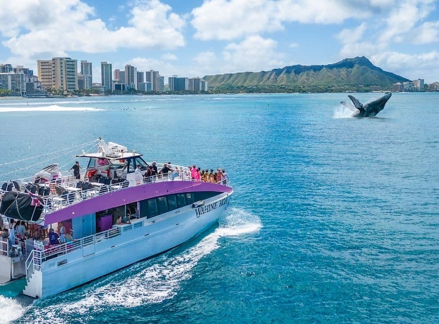Photo courtesy of Pink Sails Waikiki.