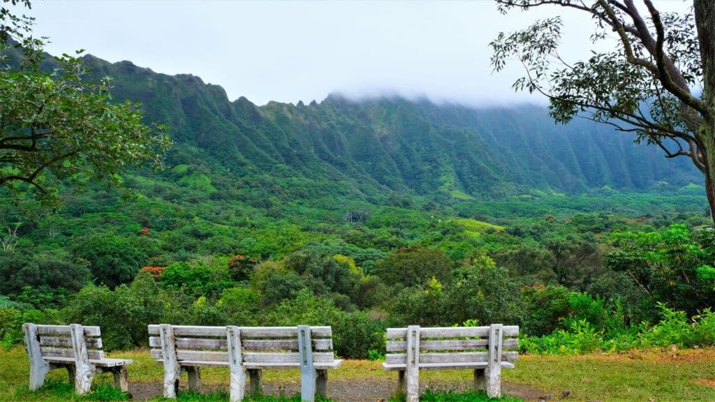View of the entrance and Ko’olau Mountains as one drives through the Ho’omaluhia Botanical Park. Strolling or driving through these lush 400 acres in windward Oʻahu, you will truly agree that Hoʻomaluhia is rightfully named “a peaceful refuge.” Opened in 1982, this garden in Kāneʻohe features plantings from major tropical regions around the world. (Photo: Getty Images)