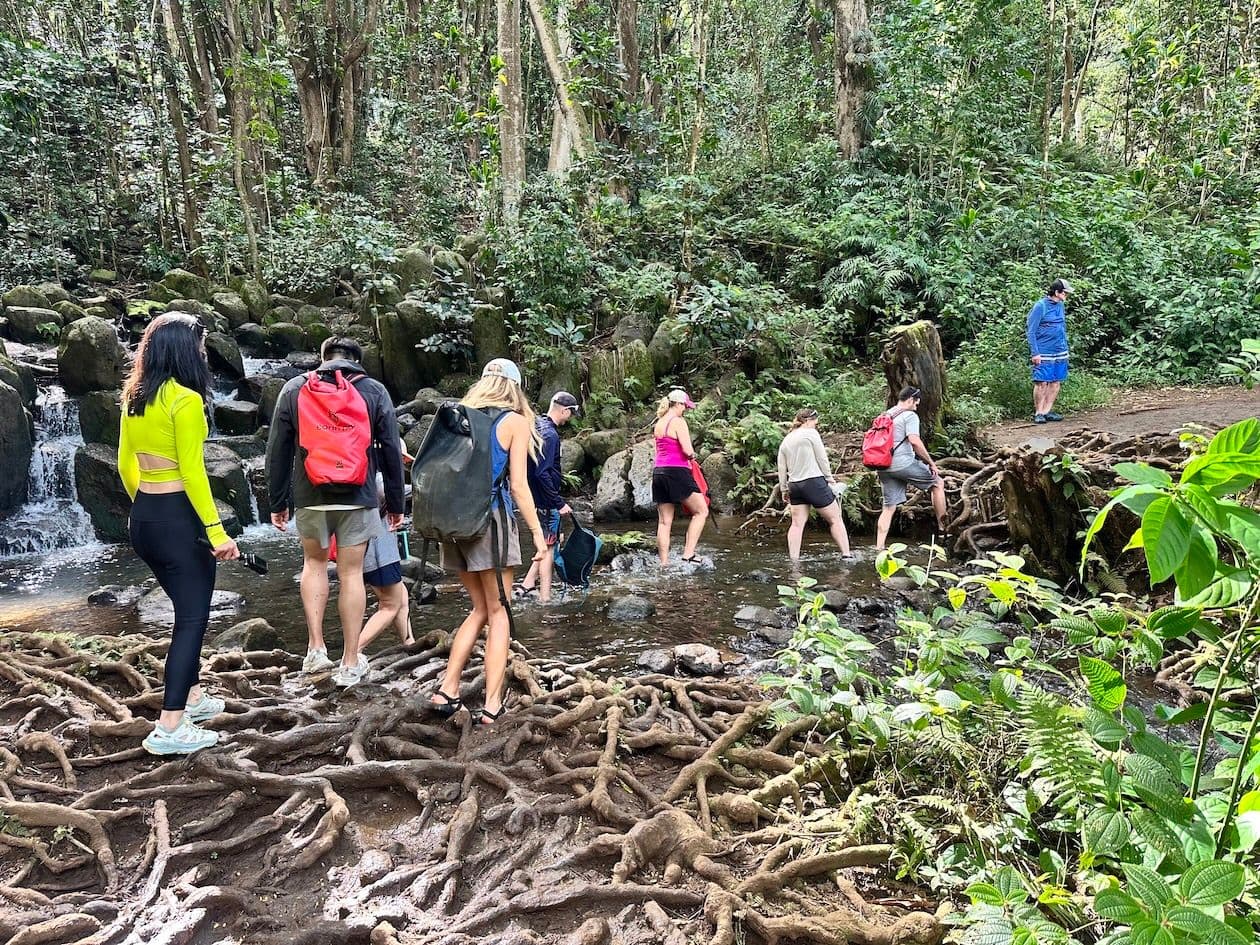 Hikers crossing a stream in the rainforest on Kauai at Wailua River.