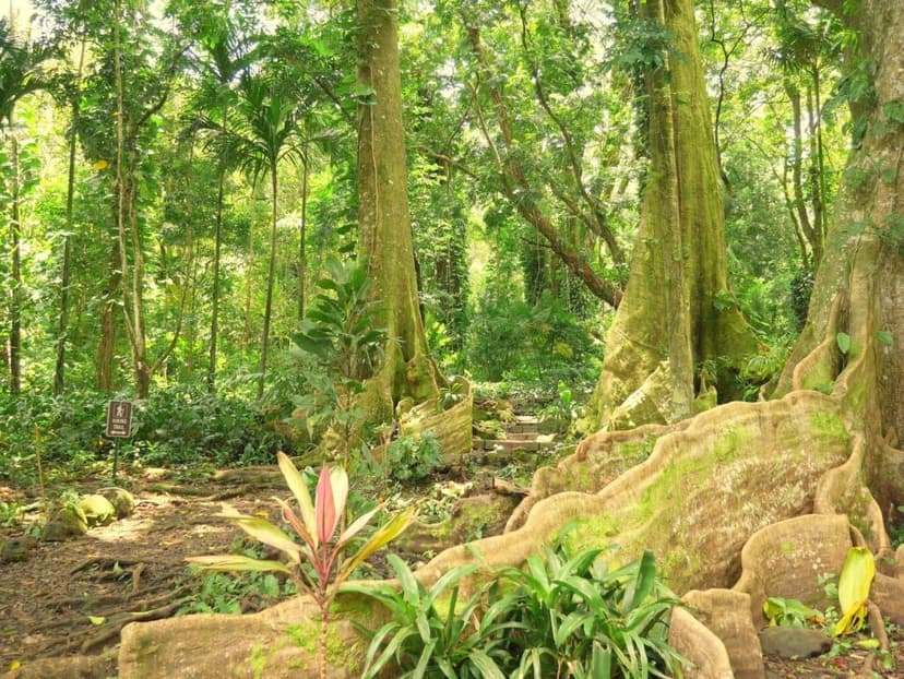 20 Unforgettable Things to Do in Honolulu for Free