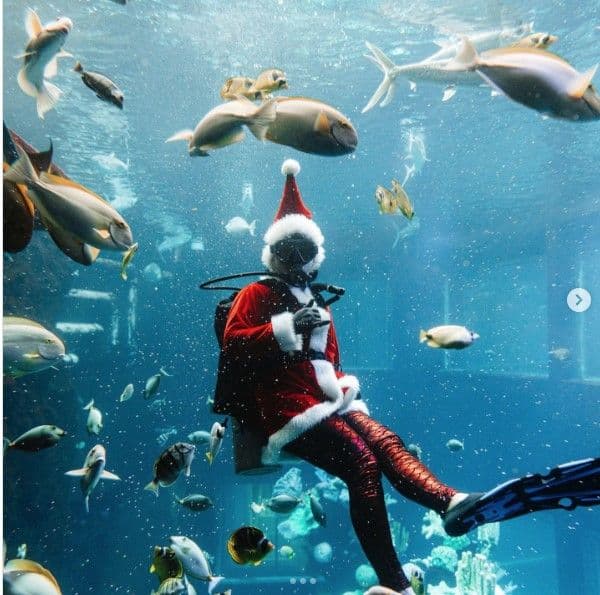 Scuba Claus. Photo courtesy of Alohilani Resort Waikiki.