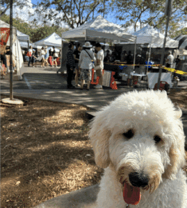 Dogs are welcome at the Farmers’ Market