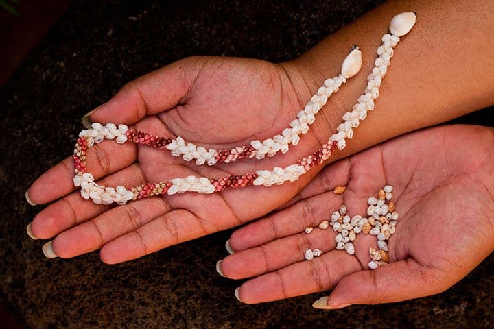 Niihau Shells