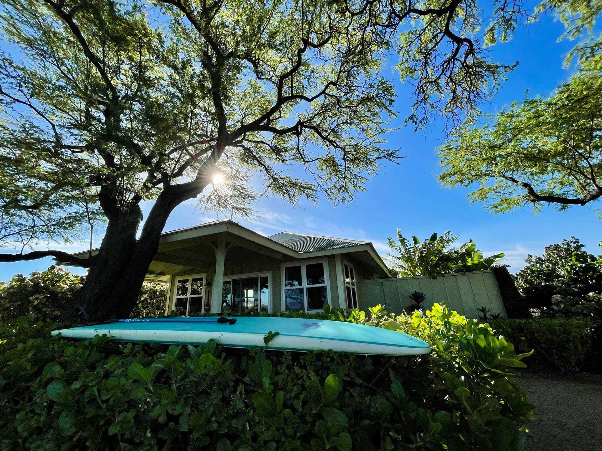Beach house with stand up paddle board in front yard with trees