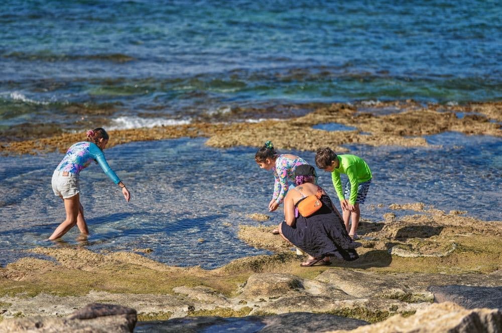 Tide pools with kids playing.