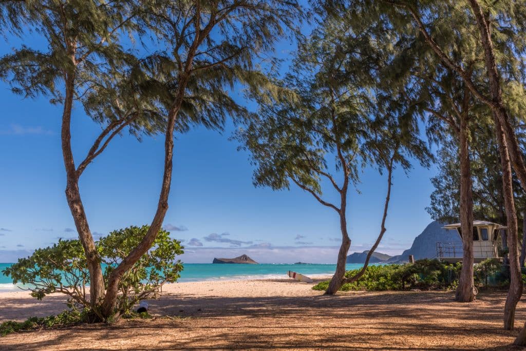 View of Waimanalo Beach and a lifeguard tower through ironwood trees on the windward side of Oahu. (Photo: Getty Images)