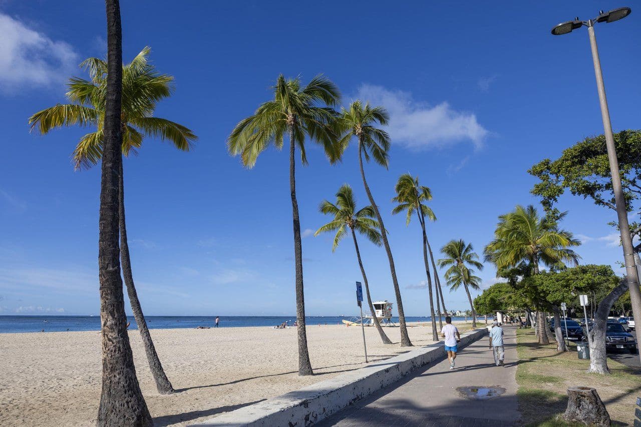 The walking path at ala moana beach