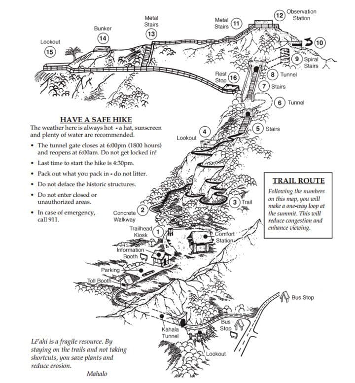 Infographic credit: Department of Land and Natural Resources, Hawaii.