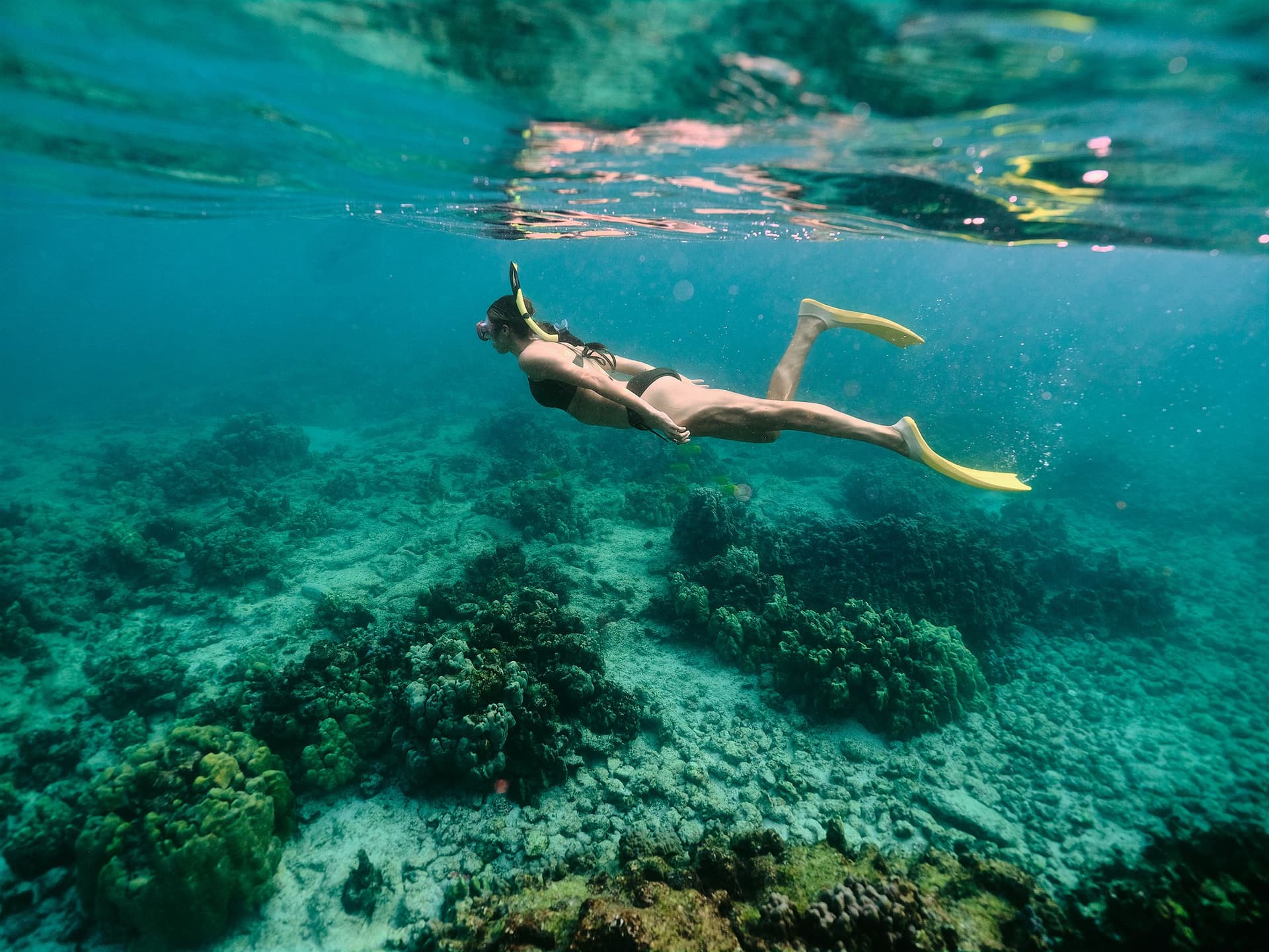 a woman snorkeling under water in hawaii.