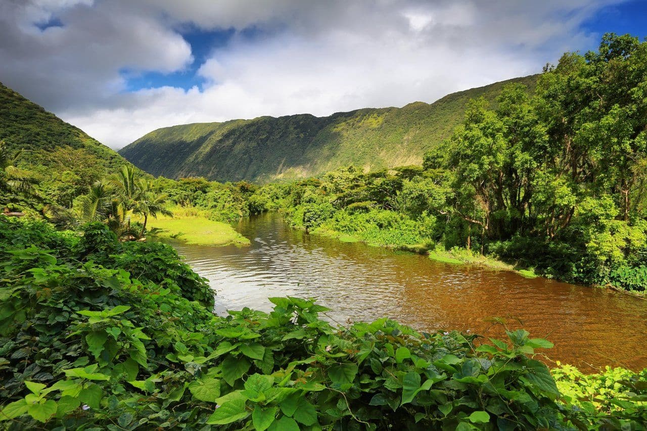 a mountain and stream view of waipio valley on the big island of hawaii.