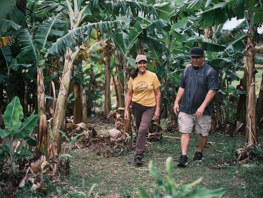 Chef Kyle Kawakami and Kumu Farms owner at Maui Tropical Plantation, Wailuku. Photo by Ben Ono, courtesy of Hawaiʻi Tourism Authority.