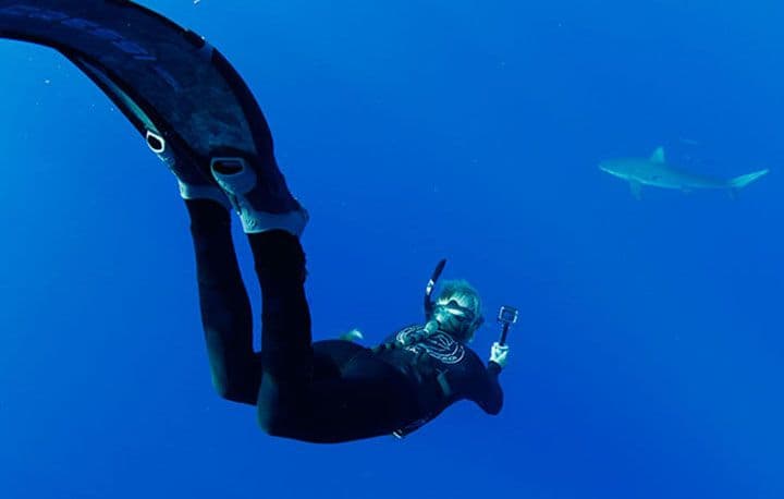 Ocean Ramsey of One Ocean Diving dives down to identify a Galapagos shark during a cageless shark viewing expedition with One Ocean Diving off Haleiwa on Oahu's North Shore. Photo: Jamm Aquino/The Honolulu Star-Advertiser.