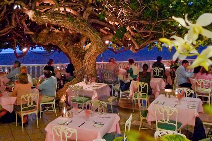 Hau Tree Lanai at The New Otani Kaimana Beach Hotel, Waikiki. Photo: The New Otani Kaimana Beach Hotel.