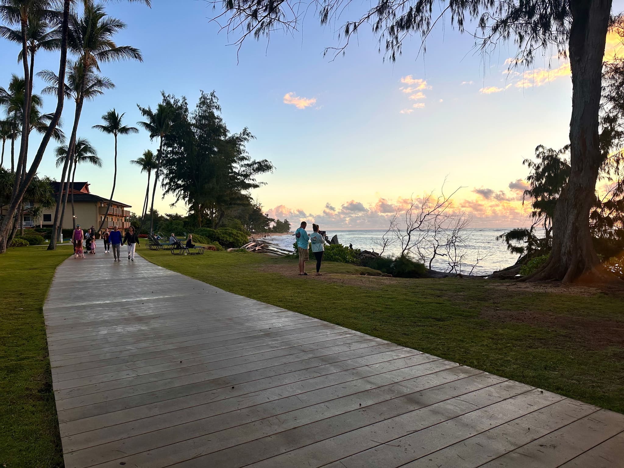 Royal Coconut Coast. Photo by Sarah Burchard.