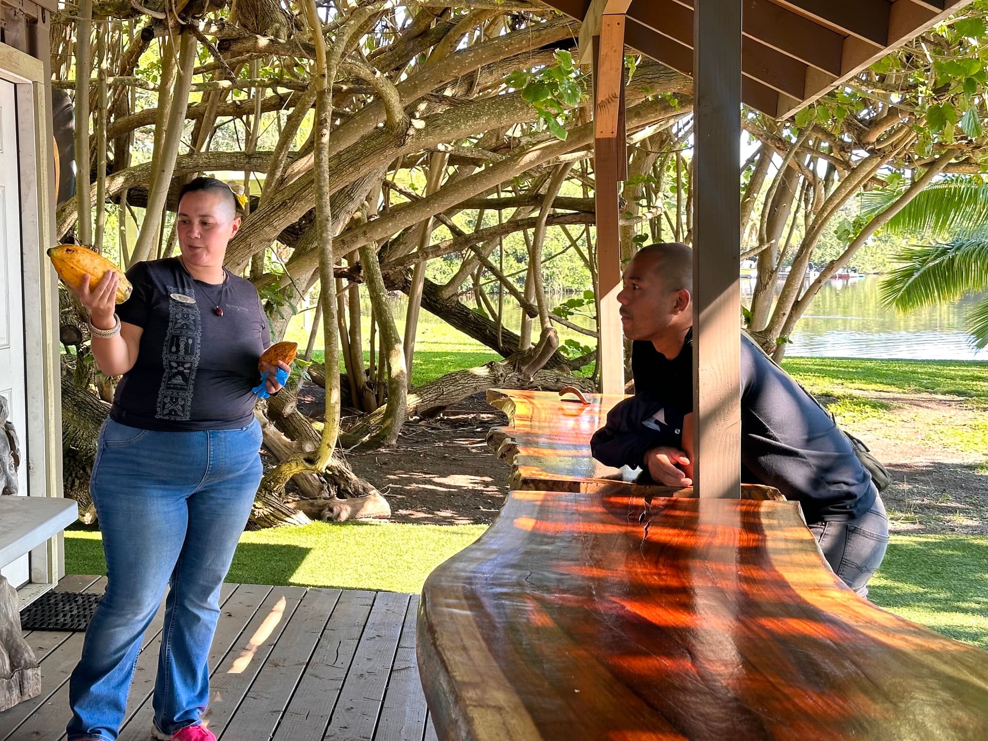 Two people eating fresh cacao out of the pod.