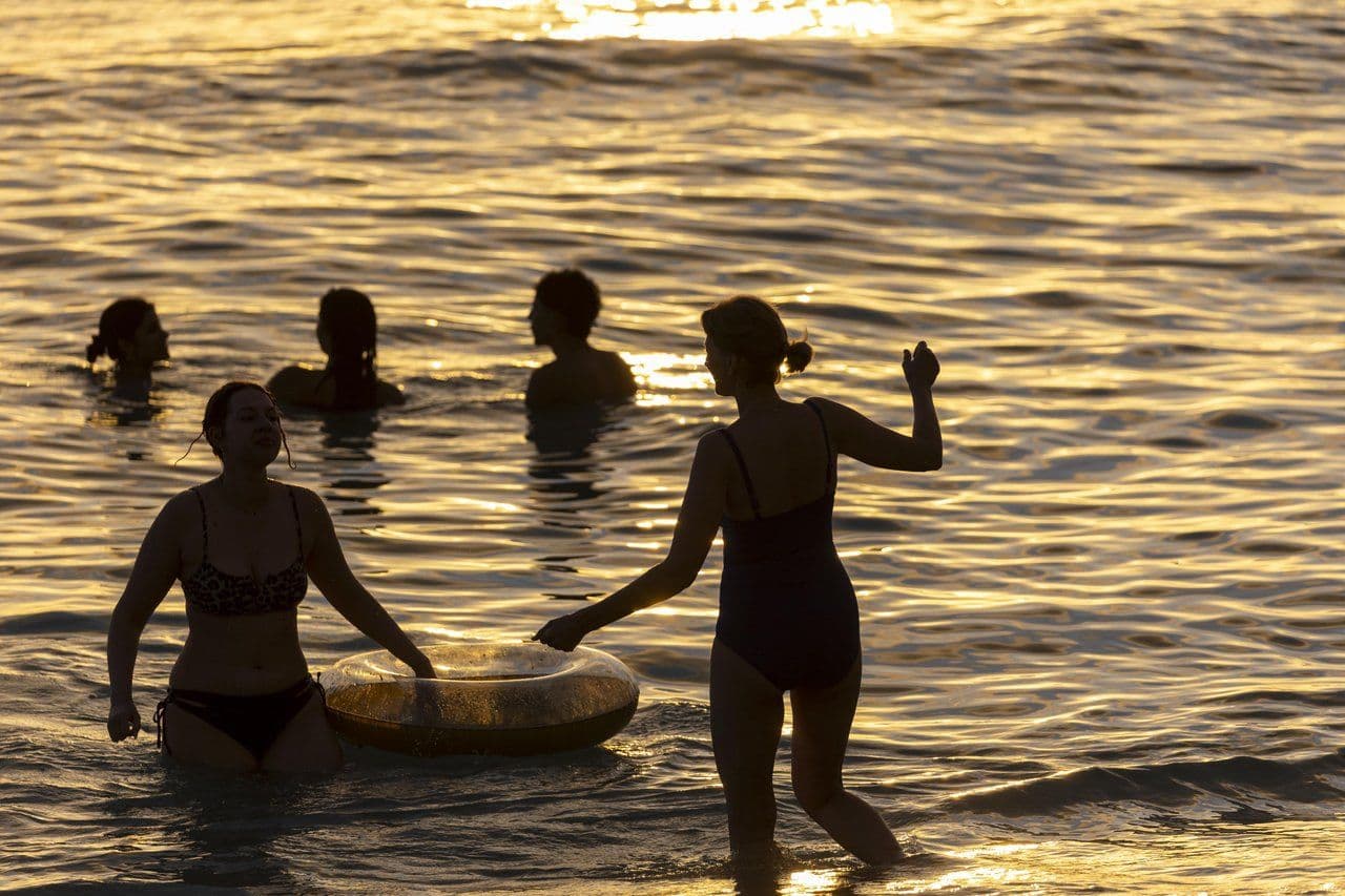 Photo by Marco Garcia.