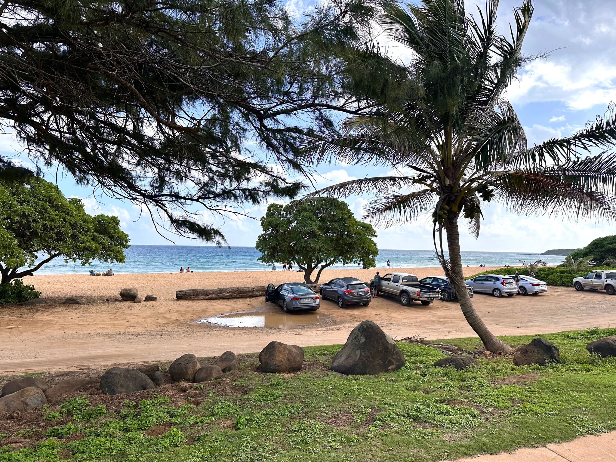 Kealia Beach. Photo by Sarah Burchard.