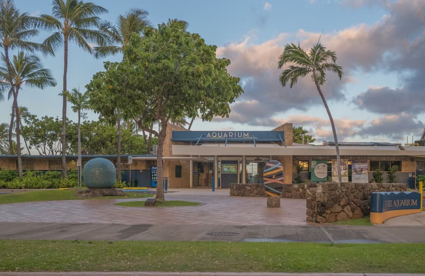 Family-Friendly Oʻahu: Honolulu Zoo and Waikīkī Aquarium