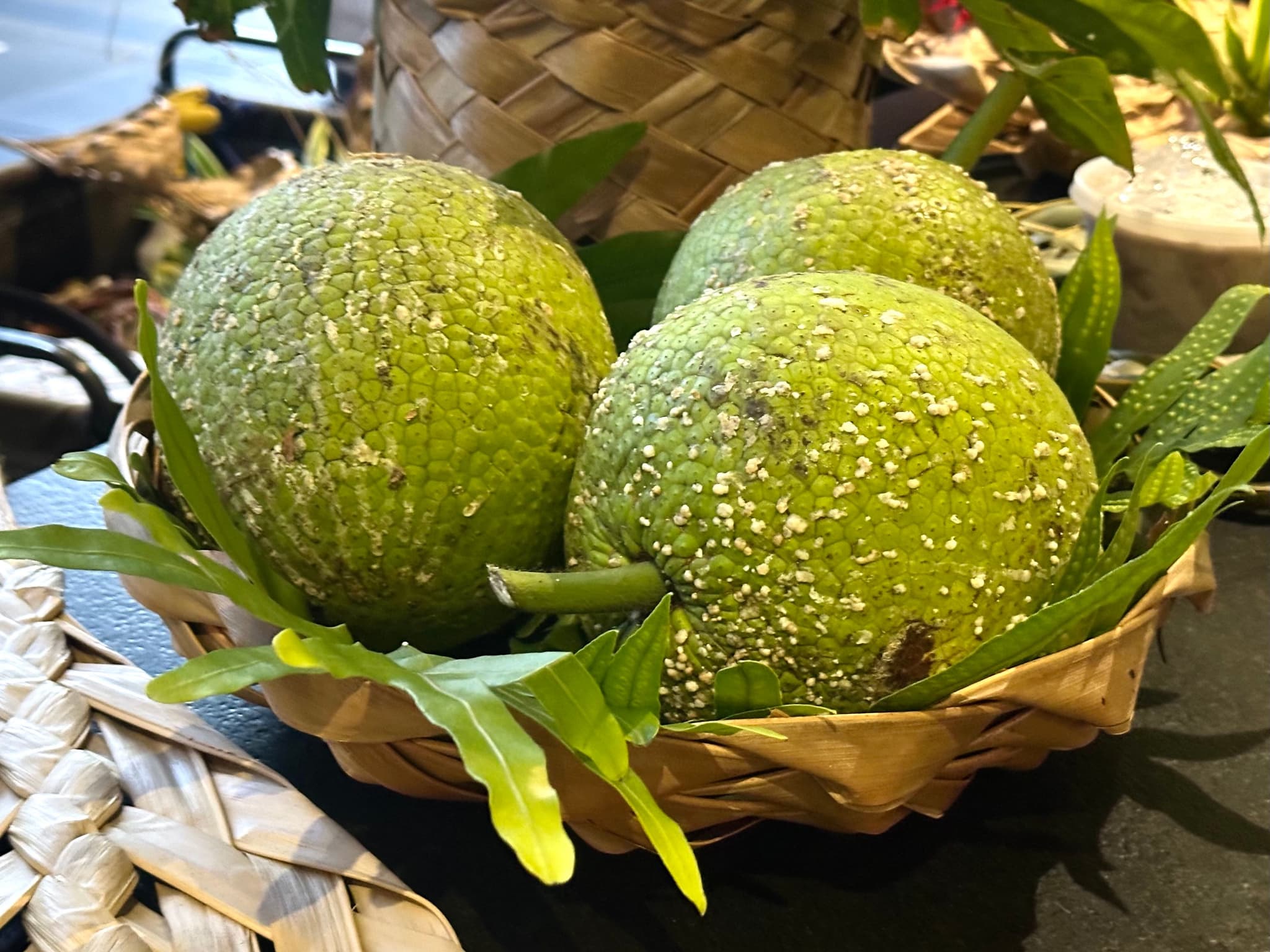 Fresh ʻulu. Photo by Sarah Burchard.