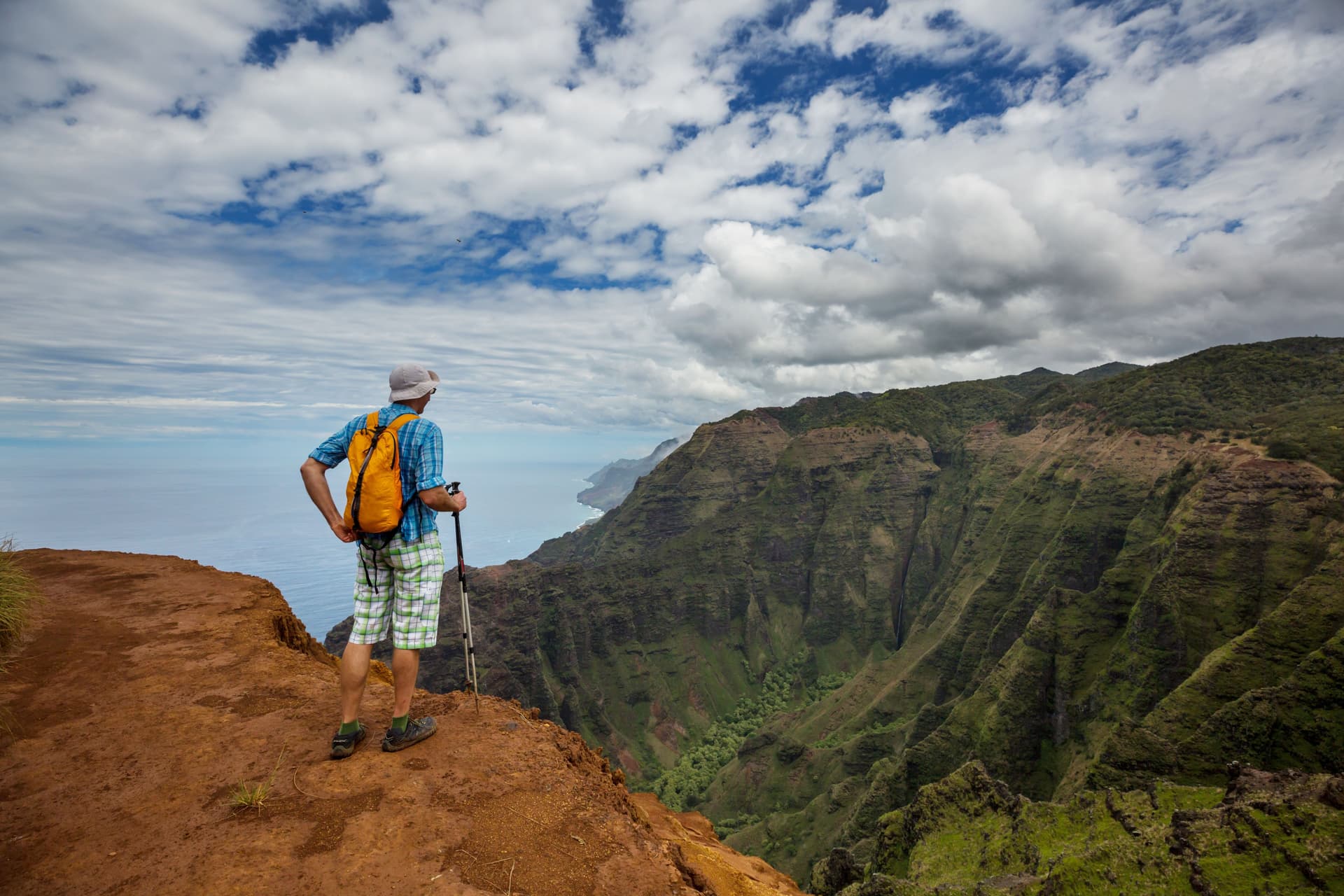 Photo by Galyna Andrushko via Shutterstock