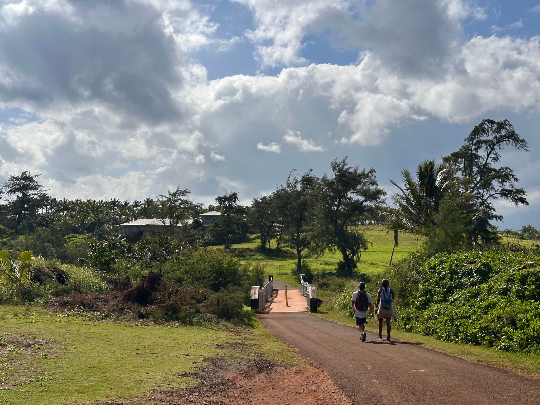Near the Pineapple Dump. Photo by Sarah Burchard.