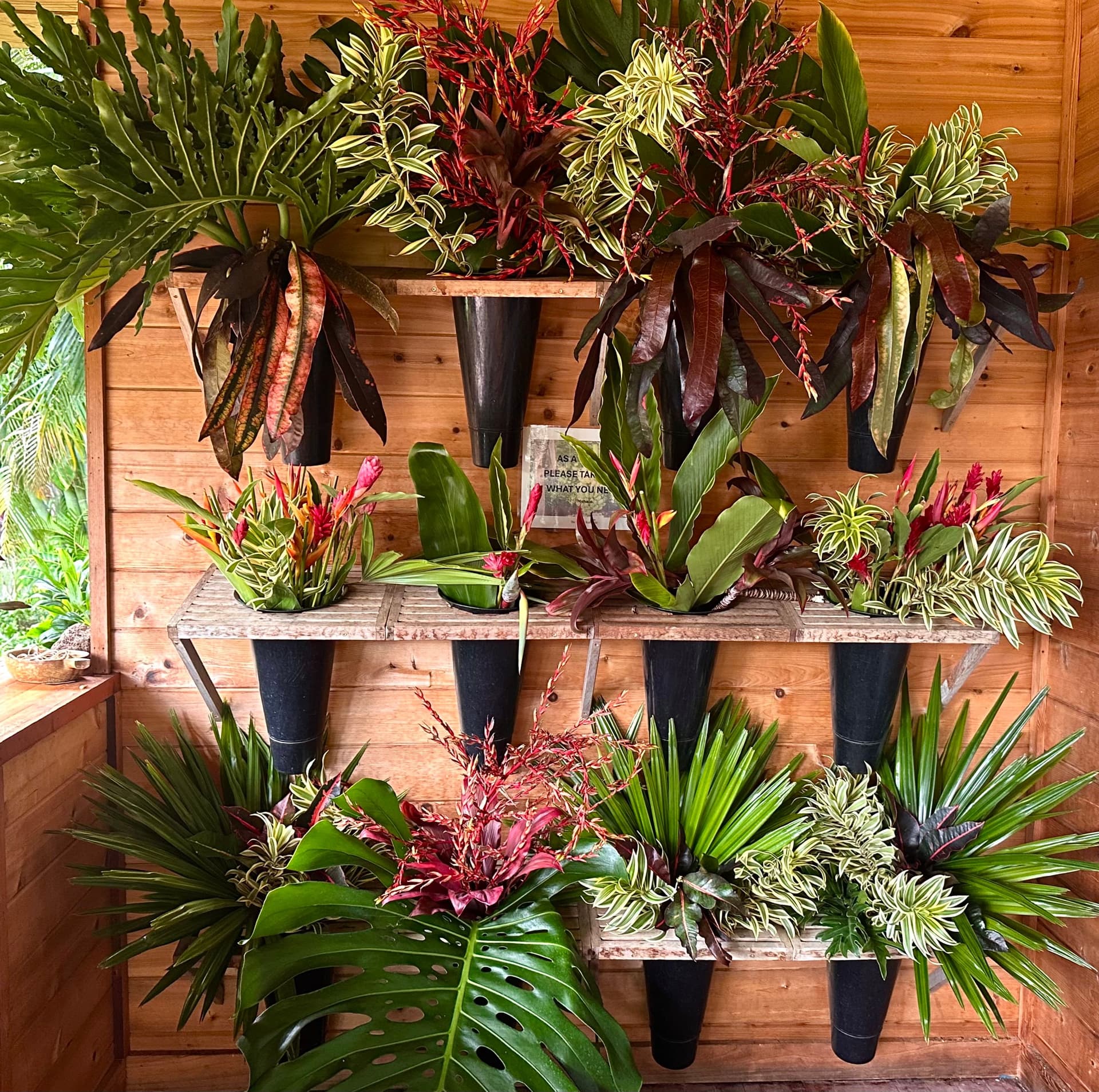 A wall of tropical flower bouquets.