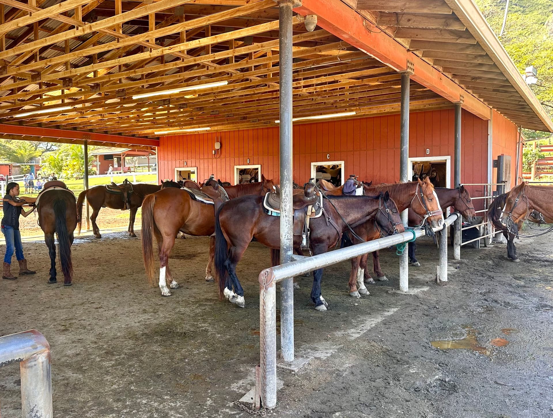 horse stables at Kualoa Ranch