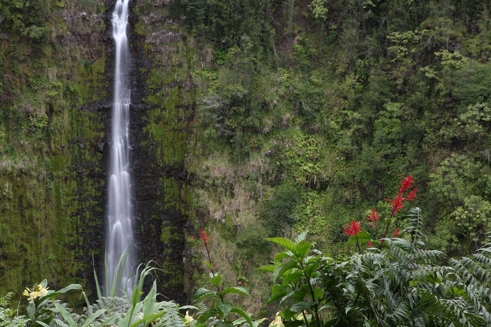 giant waterfall against a green mountain