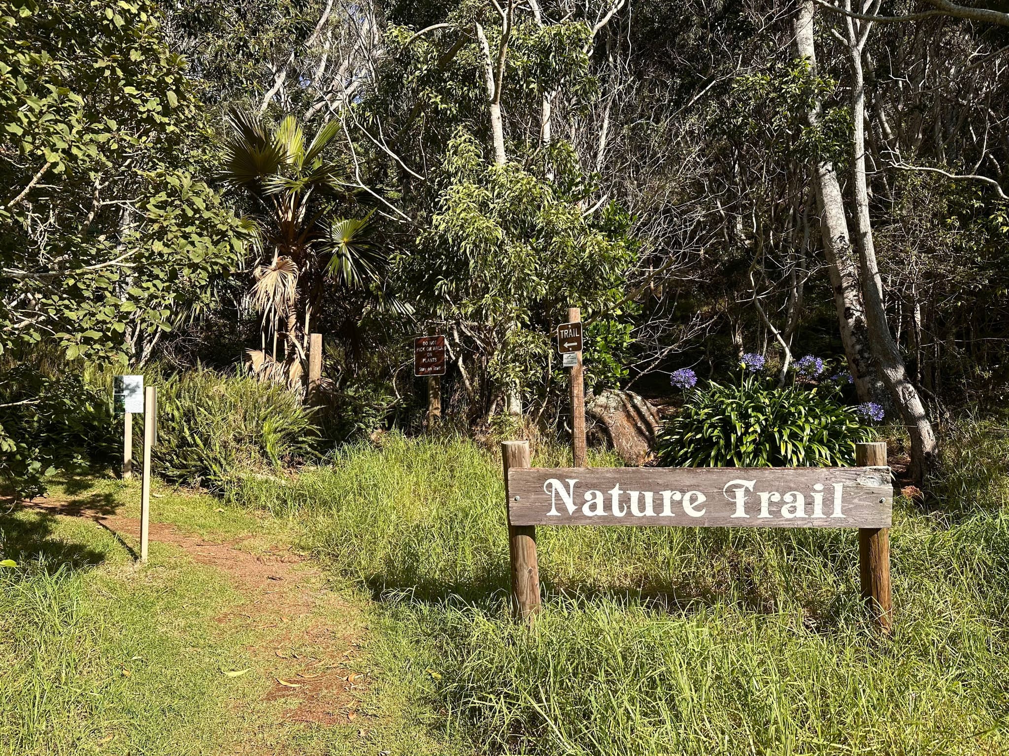 Kokeʻe State Park Nature Trail, Kauaʻi. Photo by Sarah Burchard.