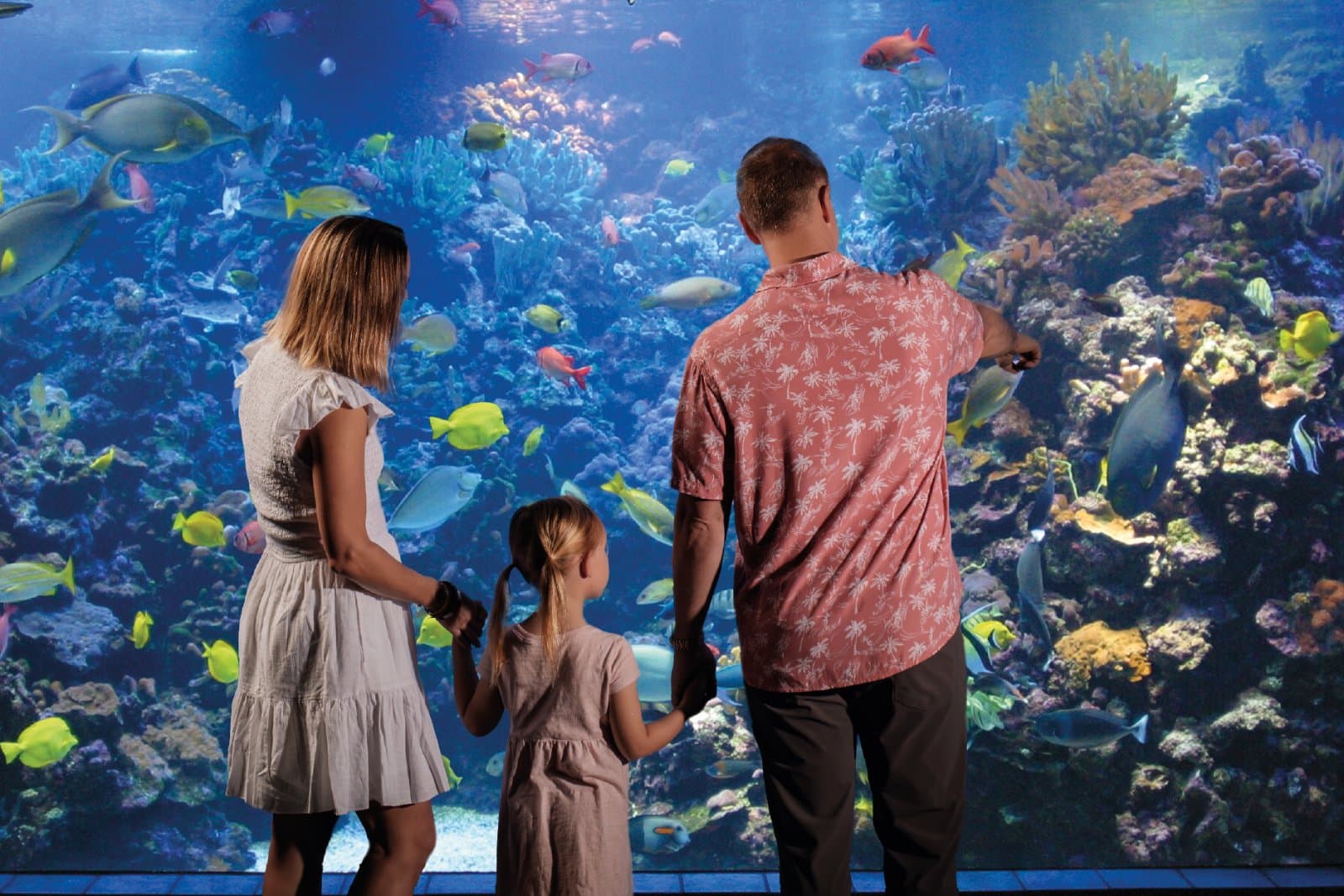 Discover Living Wonder at Maui Ocean Center