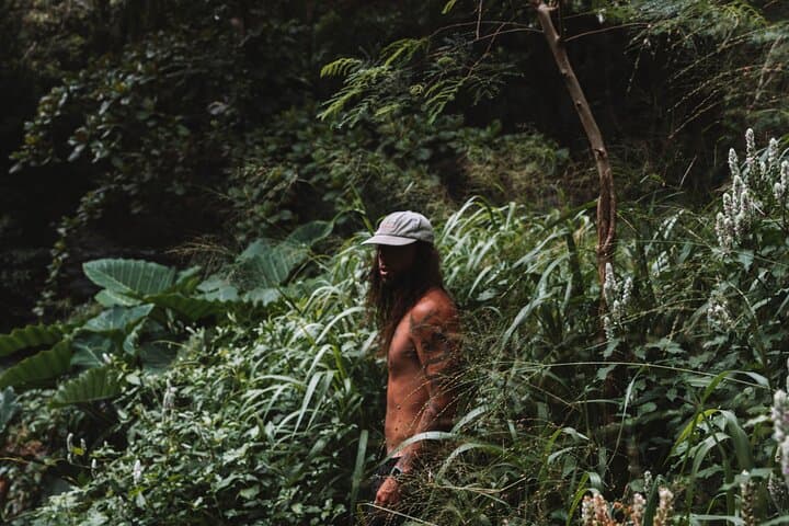 Private Road To Hana Tour with Professional Photos Included