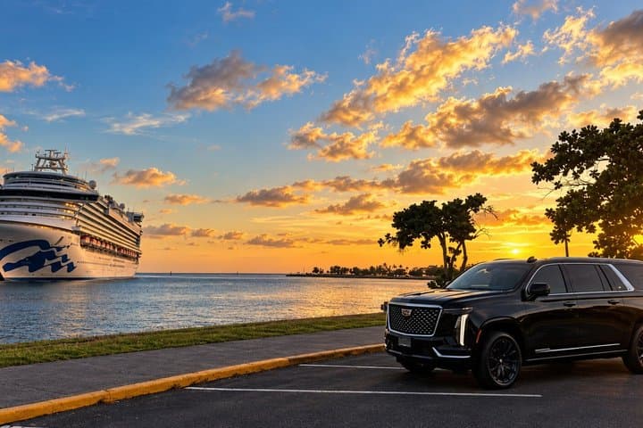 Private Honolulu Cruise Port Transfer: Waikiki or HNL Airport