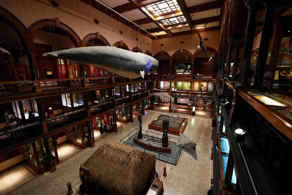 Interior of the Hawaiian Hall of the Bishop Museum, the largest museum of Hawaii in Honolulu 2225660707