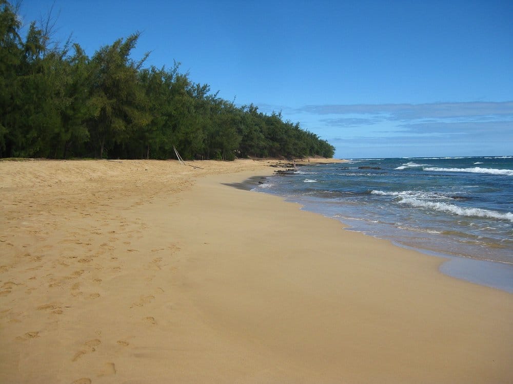 white sand beach