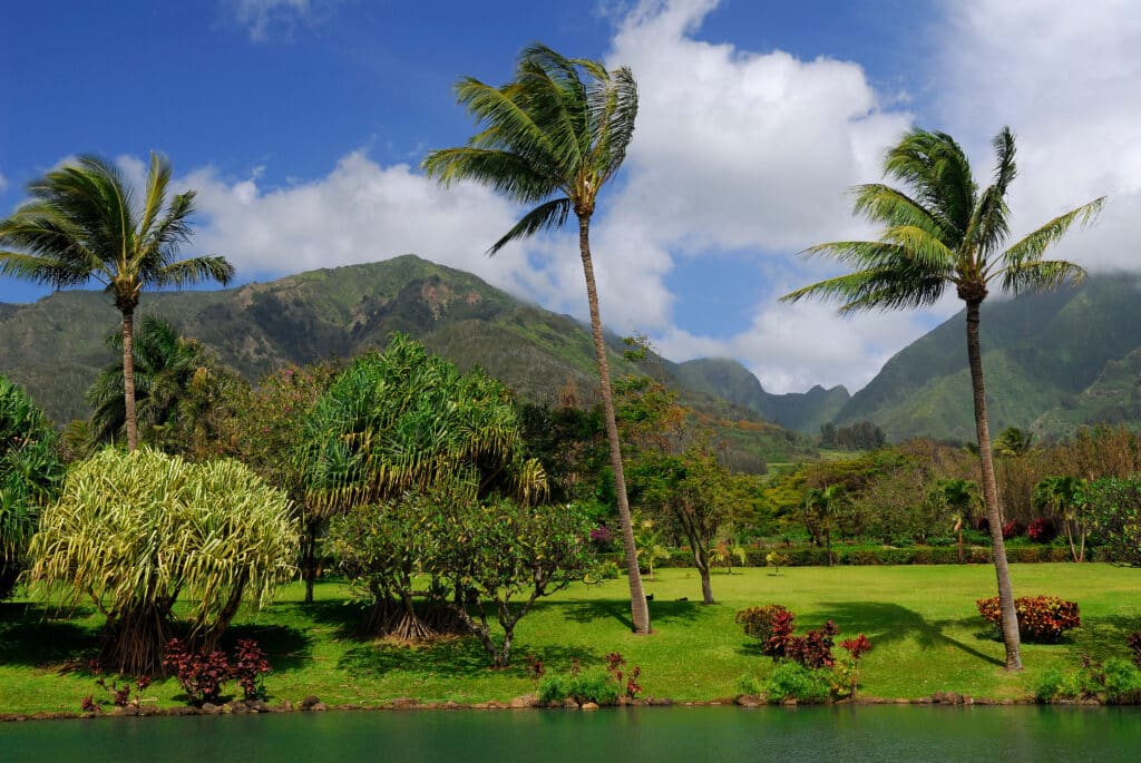Maui Tropical Plantation hateii hawiia hawaii. hawaiii hawiaii hwaii hawaai hawall hawii hawwai hawwaii hawwii hiwaii haiwaii hawia hawwi 1344303662