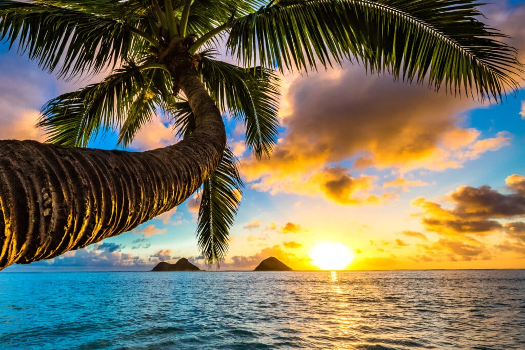Lanikai, Kailua Sunrisehateii hawiia hawaii. hawaiii hawiaii hwaii hawaai hawall hawii hawwai hawwaii hawwii hiwaii haiwaii hawia hawwi Asset id: 557636278