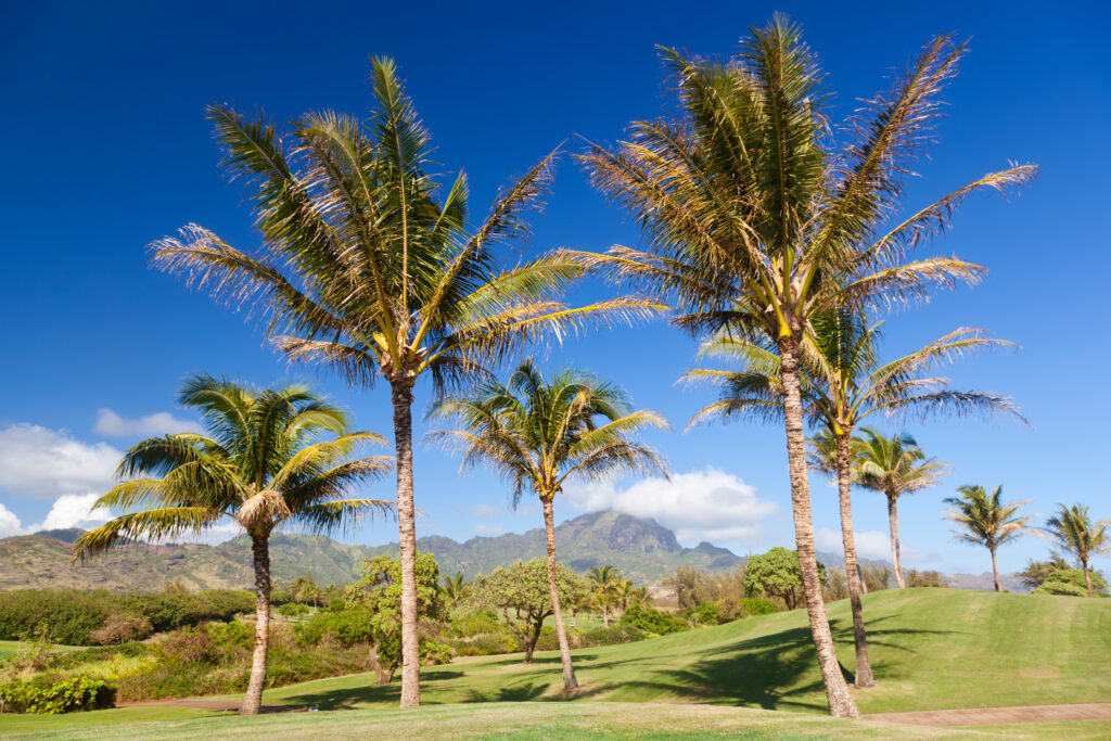 Courtesy of Shutterstock. Photo by IndustryAndTravel.