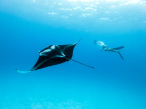Courtesy of Shutterstock. Photo by Matej-Kastelic